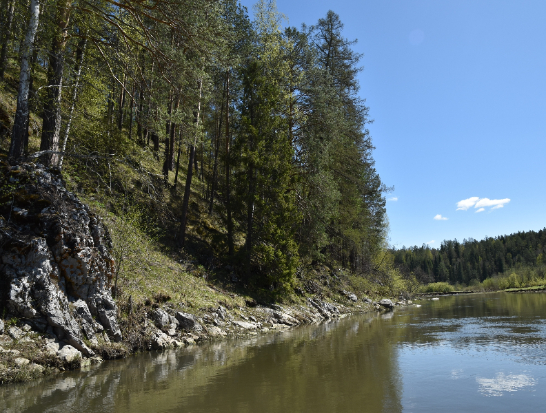 Сплав по реке Серга